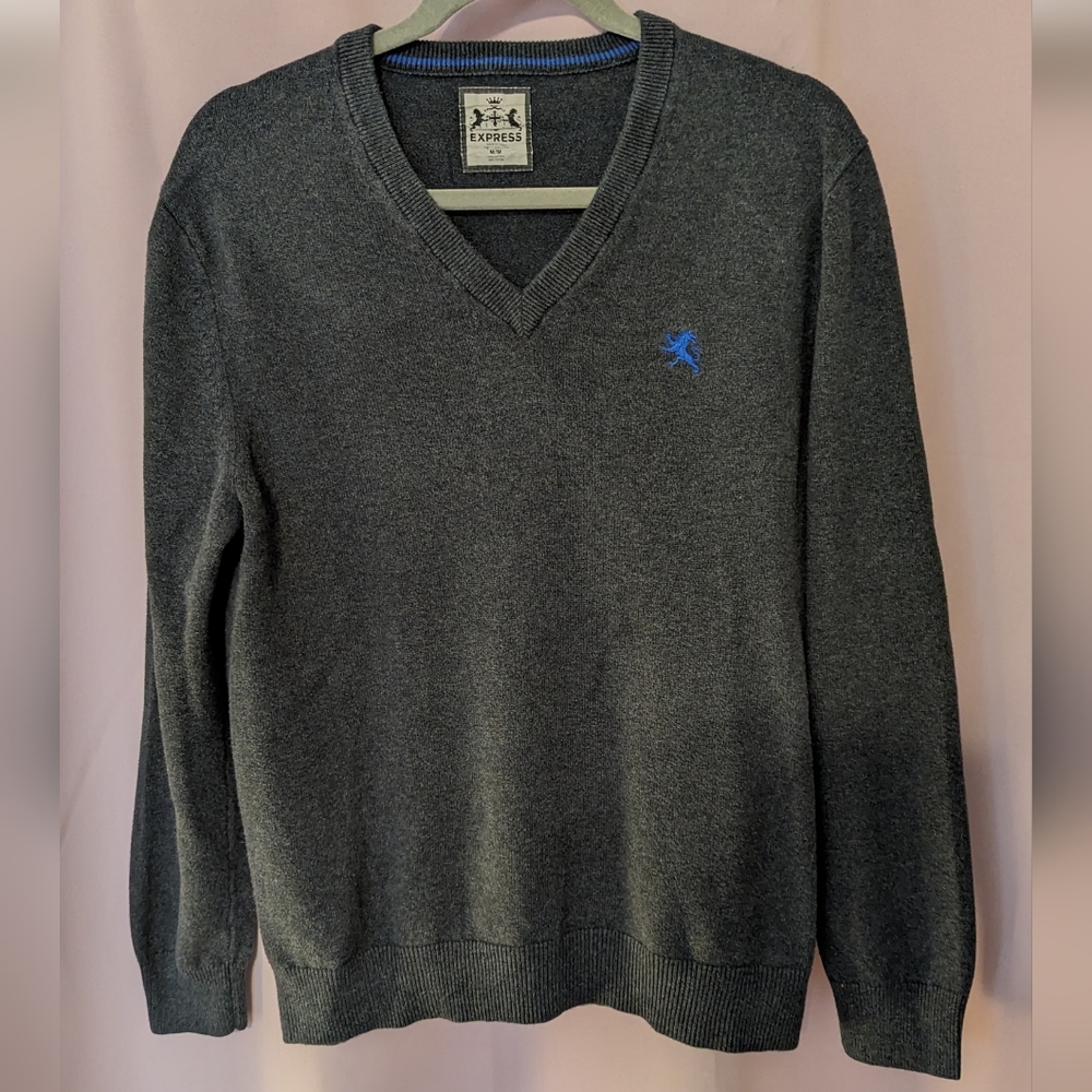 Express V-Neck sweater. Men's Medium